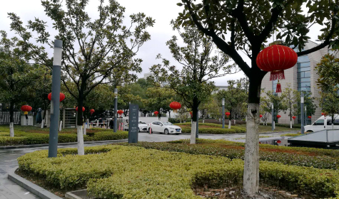 掛燈籠，貼春聯(lián)  蘇化科技園內(nèi)年味濃